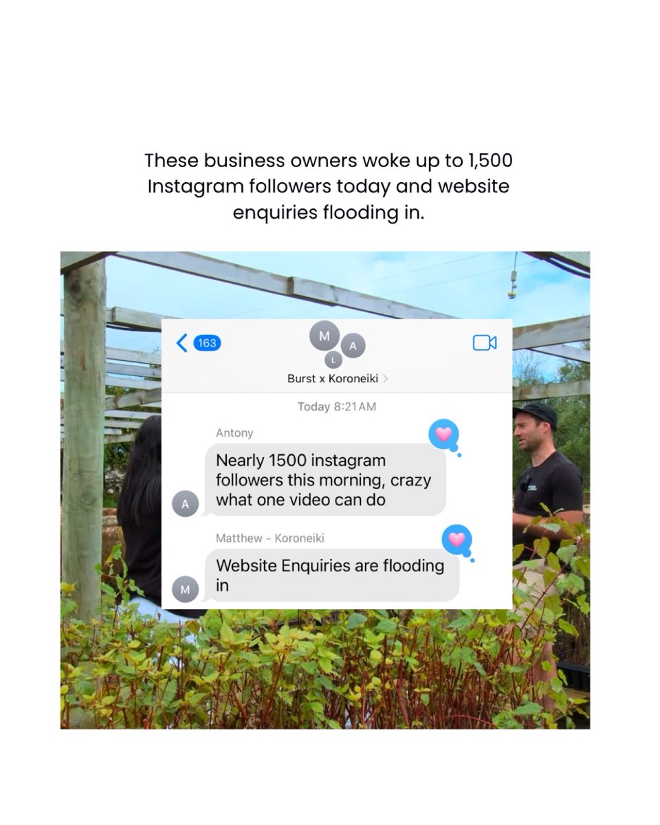 Client feedback from Koroneiki